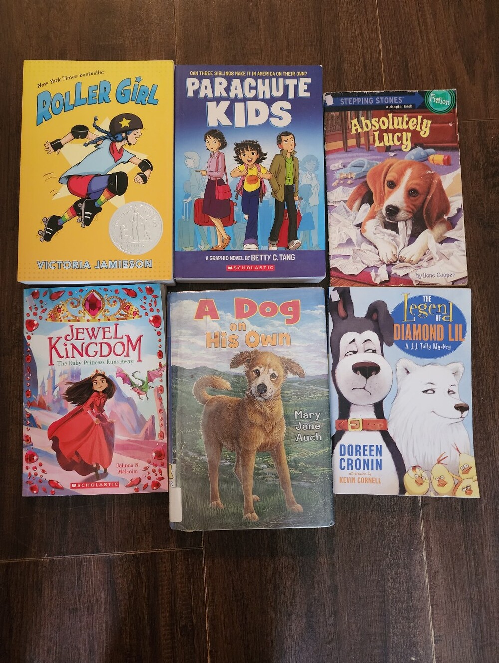 Assorted Kids Chapter Book - Mixed Colors - Scholastic & Various Brands